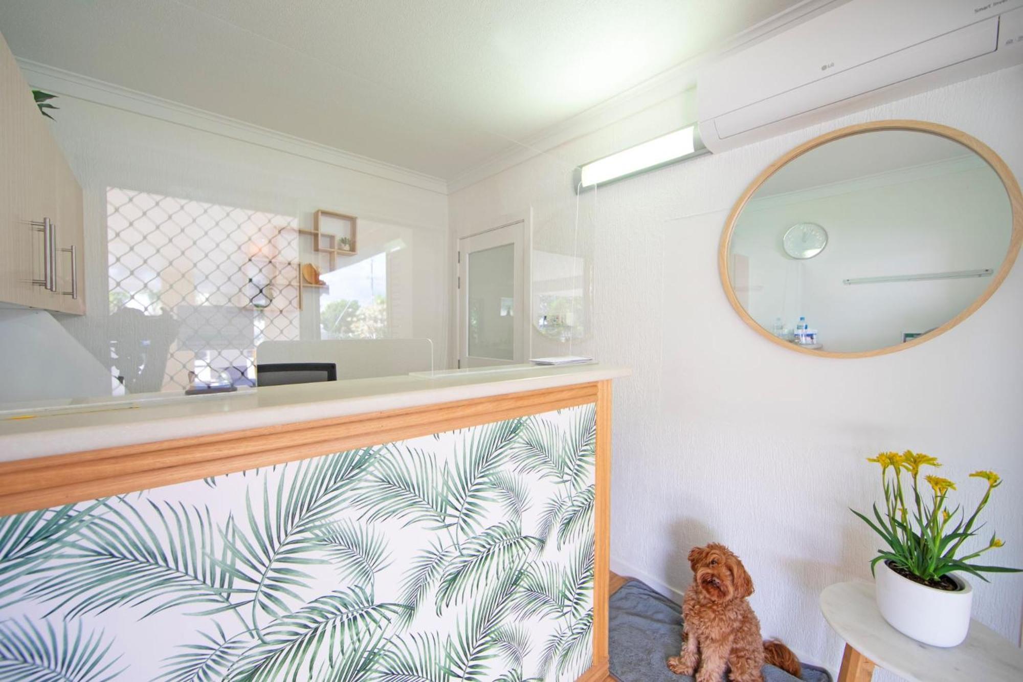 Pottsville Beach Motel Luaran gambar